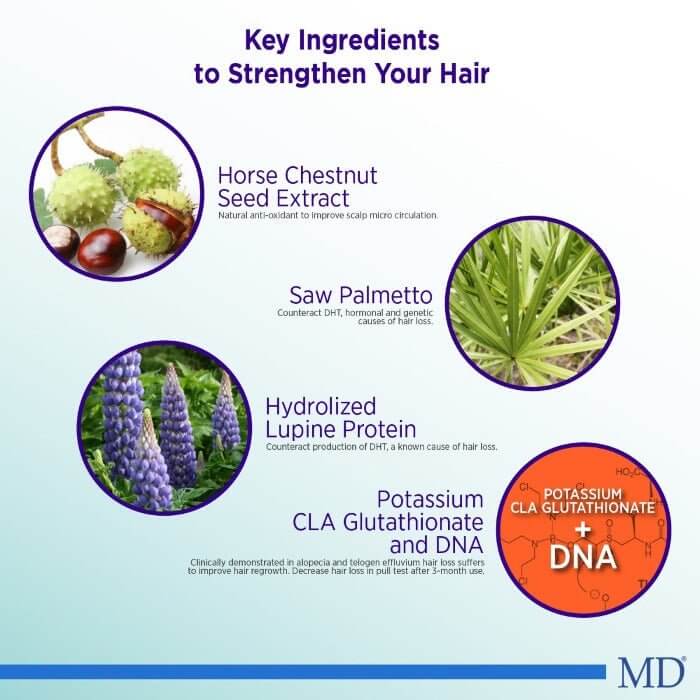 MD Follicle Energizer ingredients – horse chestnut, saw palmetto, lupine protein, CLA, and glutathione to block DHT and support regrowth