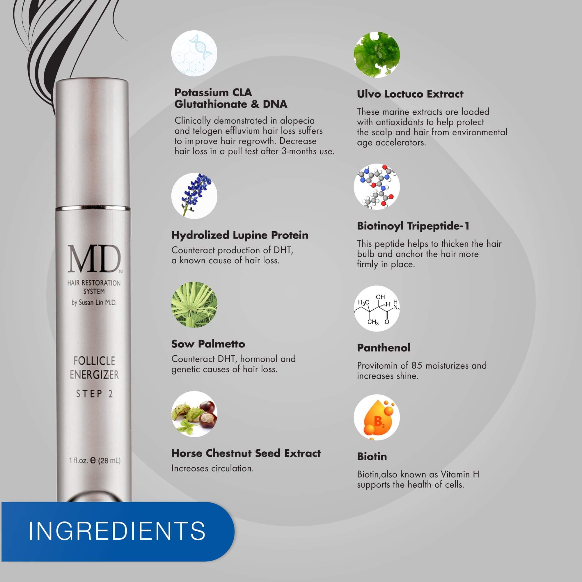 Photo displaying key ingredients in MD Follicle Energizer—saw palmetto to help block DHT, peptides to support follicle strength, lupine protein to nourish scalp, horse chestnut extract to improve circulation, panthenol for moisture retention, and biotin to promote healthy hair growth – part of the MD Hair system