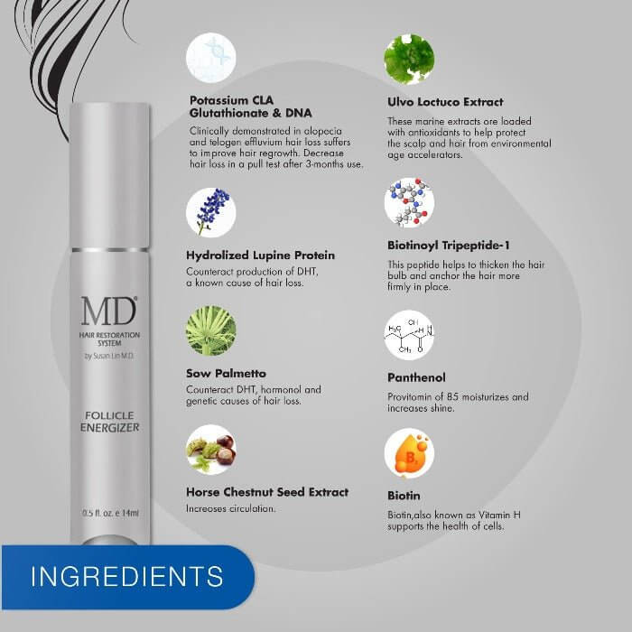 Key ingredients in MD® Follicle Energizer from MD Hair system: biotin, saw palmetto, glutathione, horse chestnut seed extract, biotinoyl tripeptide-1, Ulva Lactuca extract, and panthenol